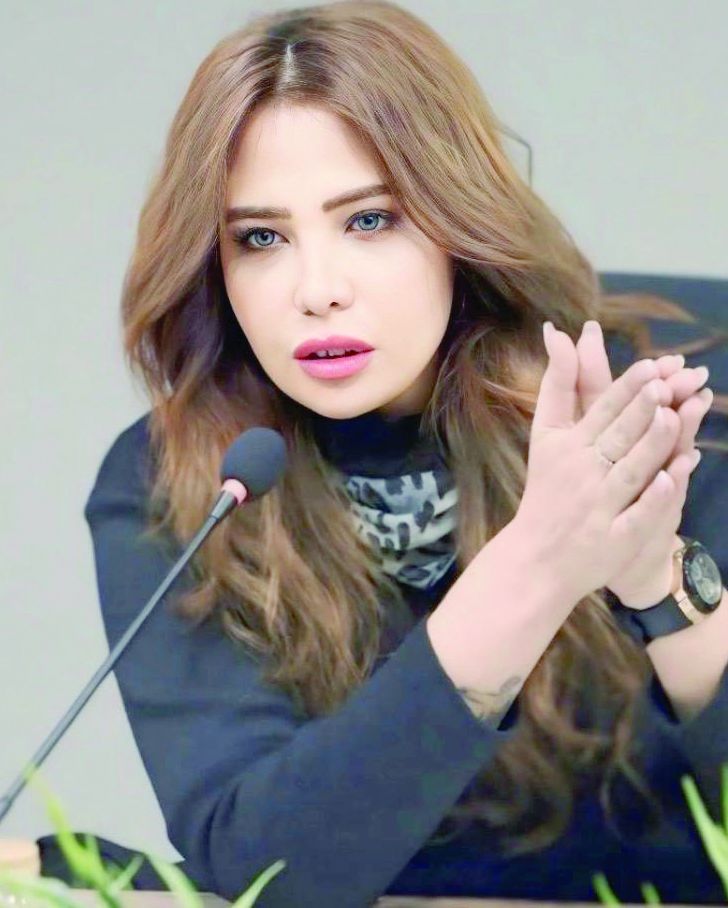 دينا المقدم، المستشار القانونى وعضو لجنة حقوق الإنسان بتنسيقية شباب الأحزاب والسياسيين