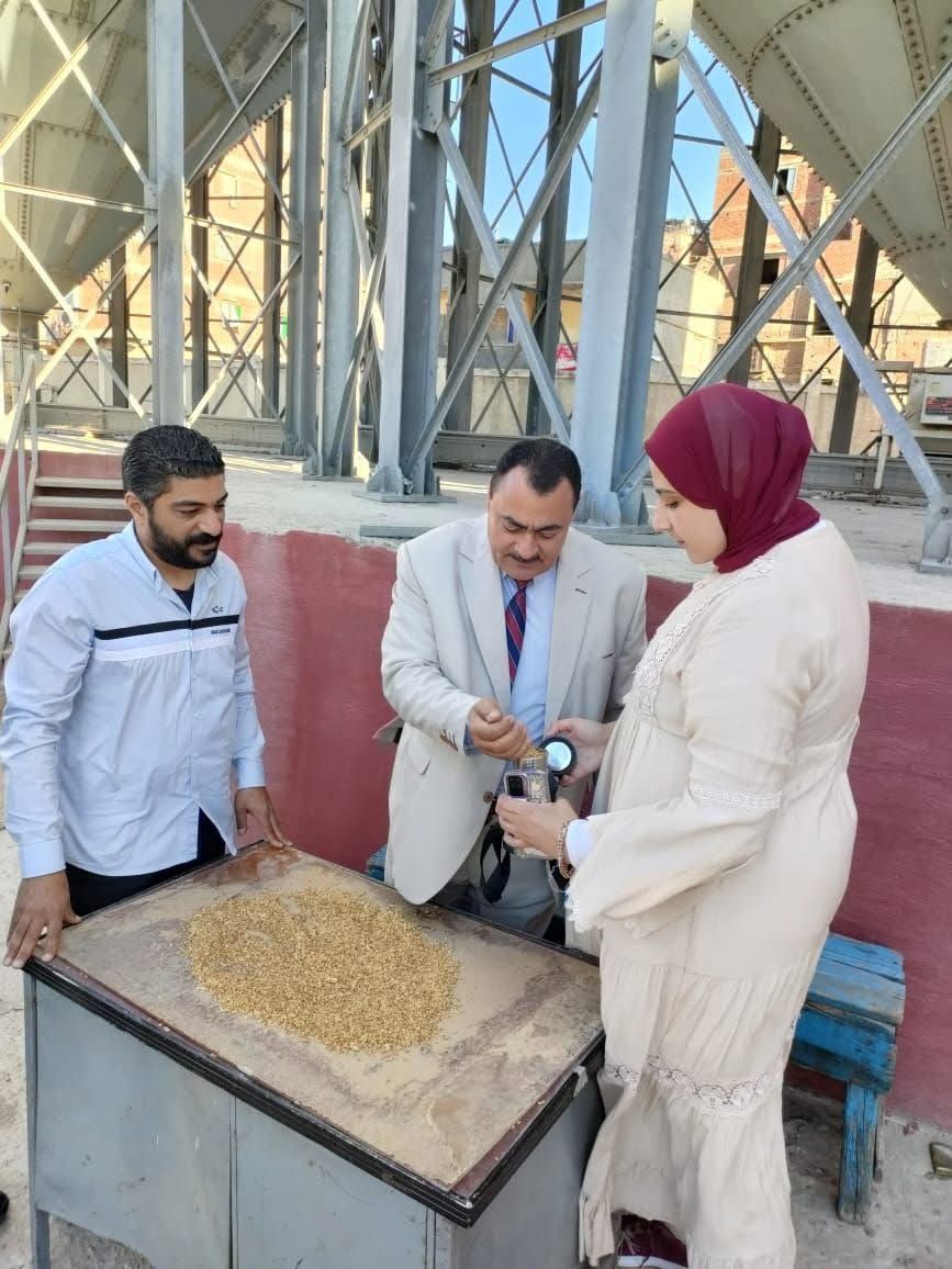 دمياط