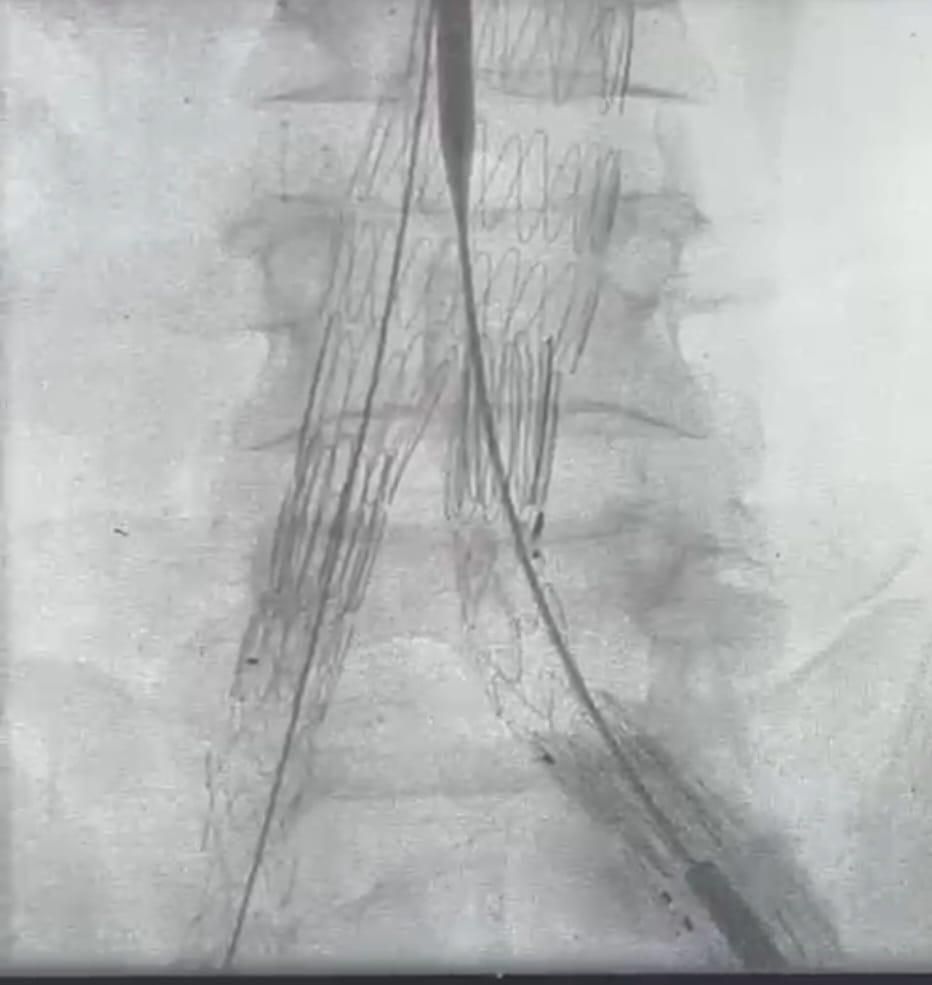 2c6ff745f8.jpg