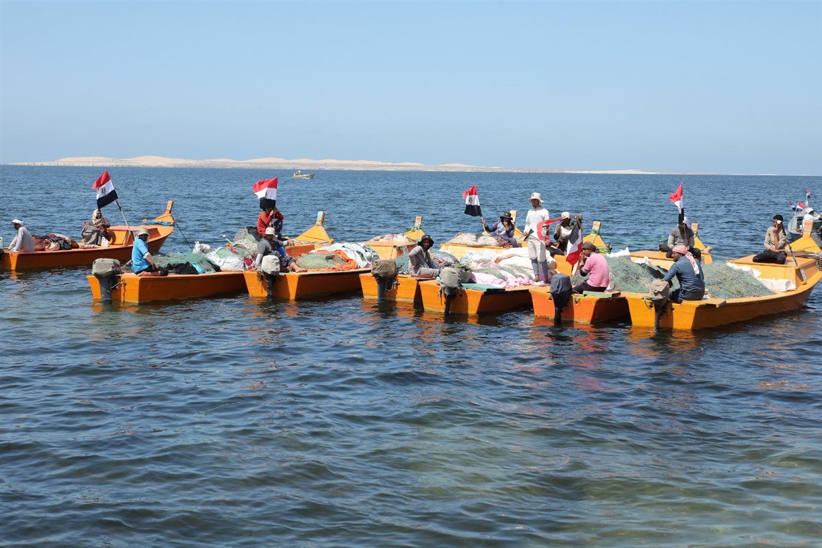50b98db2f6.jpg