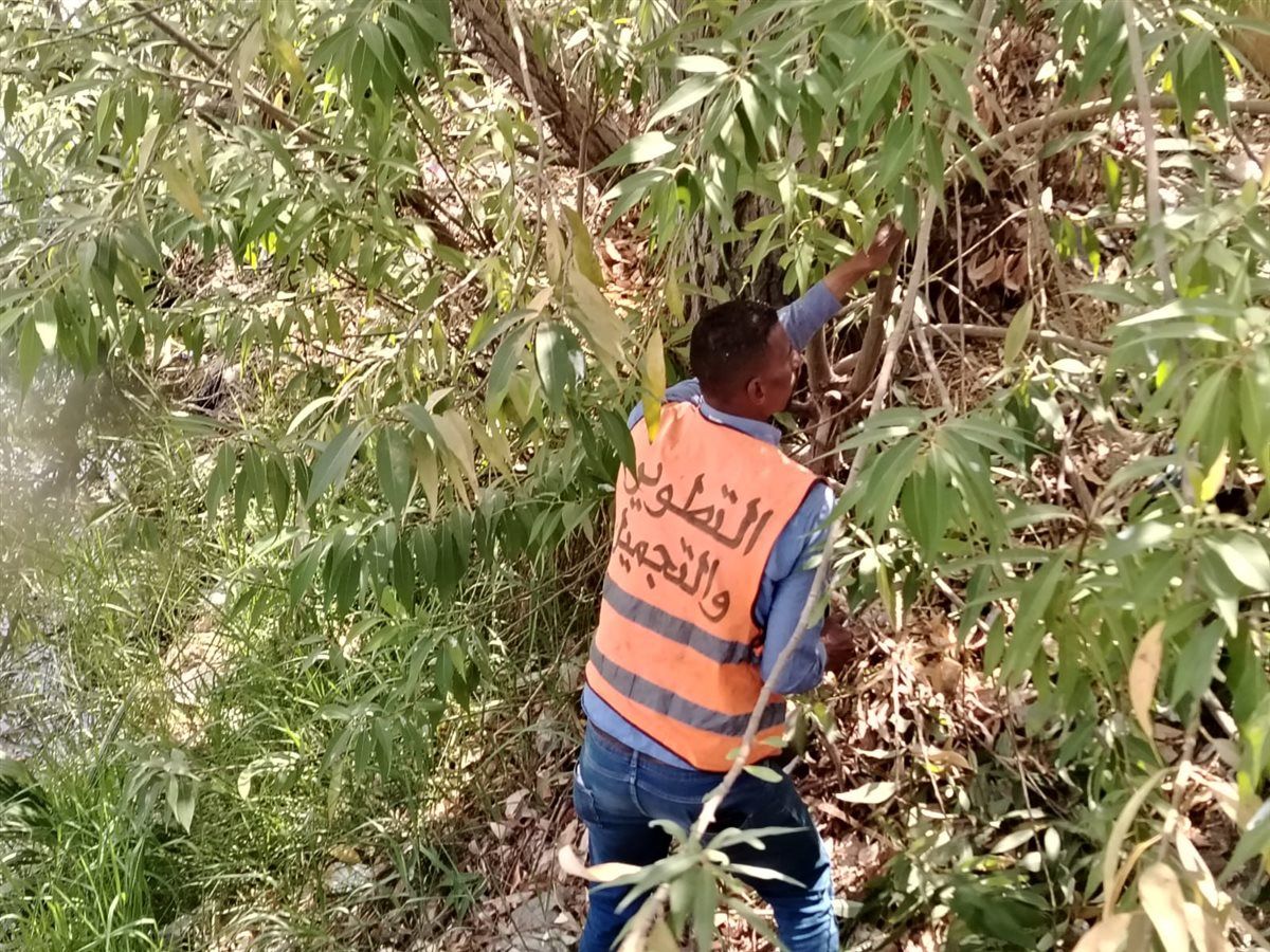 e2370a47f6.jpg