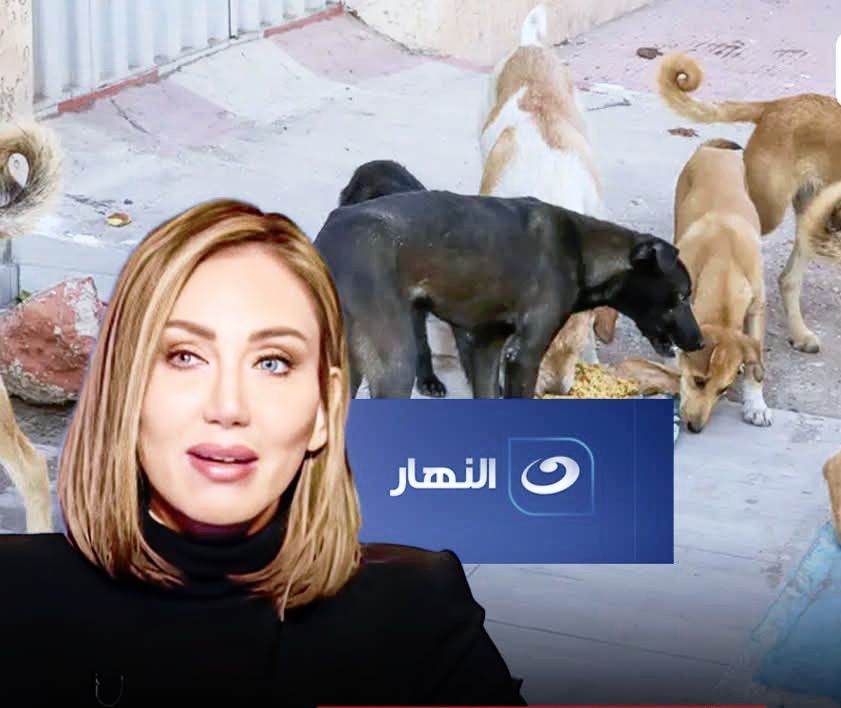 <strong>حذف حلقة ريهام سعيد </strong>