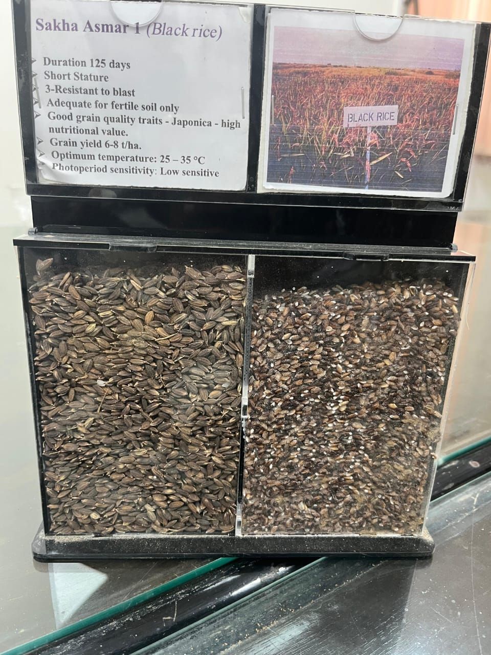 ad70621980.jpg