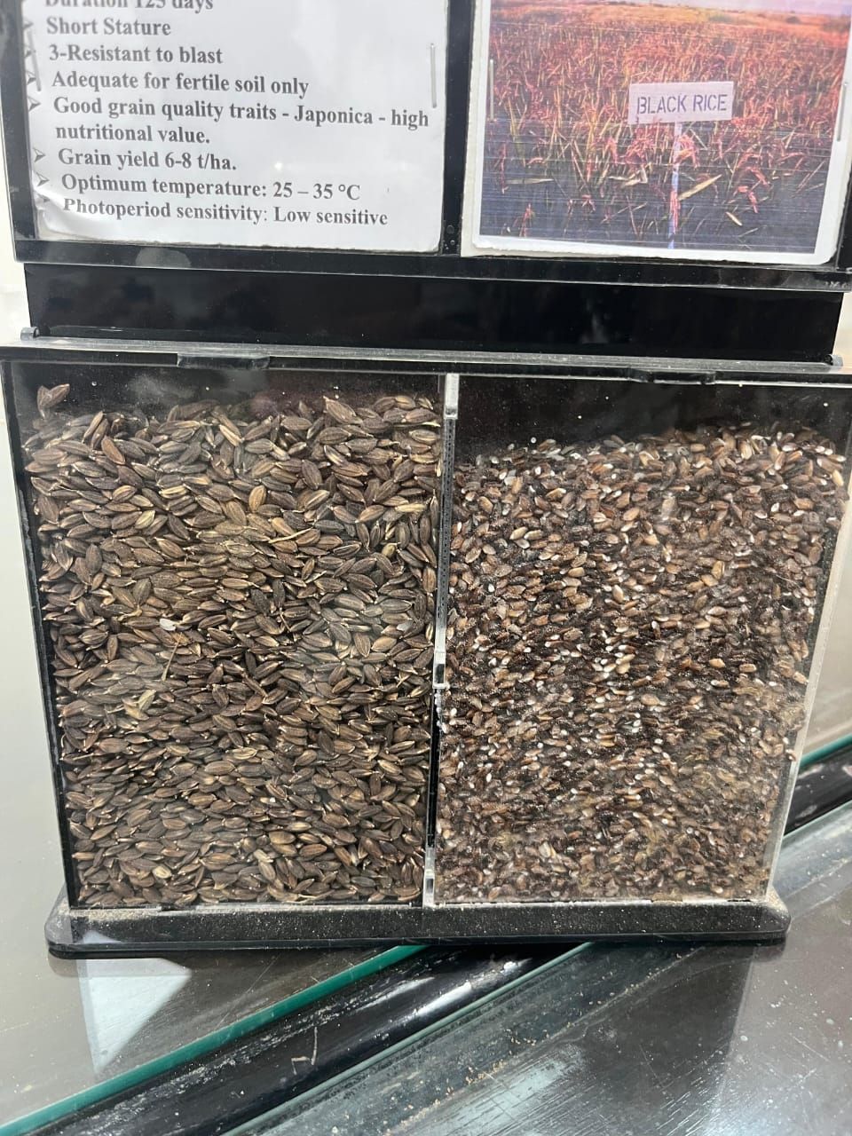 bb8072e2ea.jpg