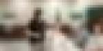 انطلاق عملية تصويت الجالية الوطنية بمصر