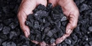 80
      جنيها
      لكل
      طن،
      رسوم
      إصدار
      الموافقات
      والتصاريح
      لتصدير
      الفحم
      النباتي