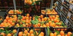 أسعار
      الفاكهة
      اليوم،
      البرتقال
      يتراجع
      50
      قرشًا
      في
      سوق
      العبور
