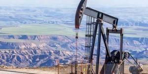 السعودية
      ثالث
      أكبر
      موردي
      النفط
      إلى
      أمريكا
      في
      فبراير