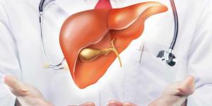 باحثون يوضحون طريقة بسيطة وفعالة لتحسين صحة الكبد