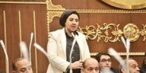 بعد قرار الغلق المبكر.. أميرة صابر تتقدم باقتراح برغبة لاستخدام أعمدة إنارة بالطاقة الشمسية للحد من الحوادث وترشيد الطاقة