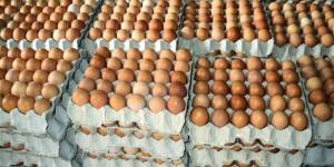 أسعار البيض في أسواق محافظة الإسكندرية اليوم الأربعاء 1 أبريل