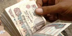 برلماني: زيادة الحد الأدنى للأجور تعكس حرص الدولة على تحسين معيشة المواطنين