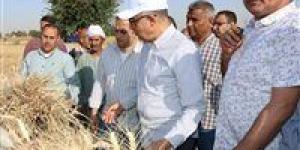 في طفرة غير مسبوقة .. زراعة 232 ألف فدان قمح في المنيا والمحافظ : نمو ملحوظ يتجاوز المستهدف