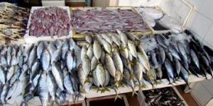 أسعار الأسماك اليوم في مصر.. البلطي يسجل 83 جنيهًا