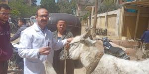 الدقهلية تتابع جهود الطب البيطري في تسيير قوافل طبية وتقديم الرعاية اللازمة