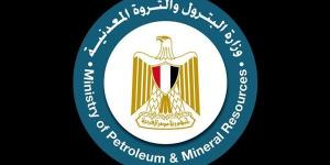 وزارة البترول: ما يتم تداوله عن تحريك أسعار الوقود أخبار كاذبة