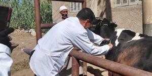 الغربية تواصل تحصين الماشية ضد الجلد العقدي وجدري الأغنام