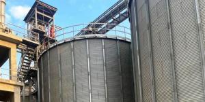 إشادة مزارعي القليوبية بزيادة سعر توريد القمح إلى 2500 جنيه للأردب