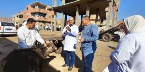 رئيس هيئة الخدمات البيطرية: فحص أكثر من 730 ألف رأس ماشية وطائر خلال فبراير