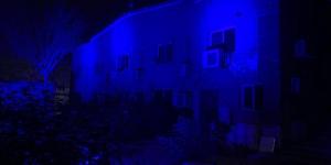 القومي للأشخاص ذوي الإعاقة يضيء مبانيه باللون الأزرق احتفالاً باليوم العالمي للتوحد