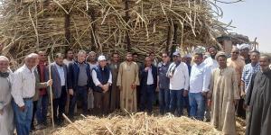 "الزراعة" تتابع برامج إكثار التقاوي في الأقصر