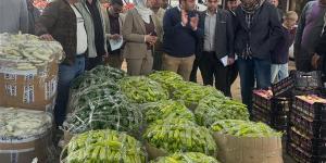 حملة مكبرة لضبط الأسواق بسوق الجملة ببنها لمواجهة التلاعب في أسعار الخضروات