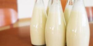 أسعار الألبان والجبن اليوم في أسواق الدقهلية