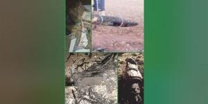 الجمعة اﻟﻌﻈﻴﻤﺔ ﺗﻌﻄﻞ اﻟﺘﺼﻮﻳﺖ ﻋﻠﻰ ﻣﺸﺮوع ﻗﺮار »ﻫﺮﻣﺰ«