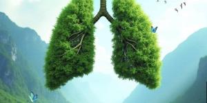 انطلاق المؤتمر السادس لقسم الأمراض الصدرية بطب الأزهر بأسيوط 7 أبريل الجاري