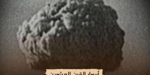 الليلة.. عرض "أسرار القرن العشرين" على شاشة "الوثائقية"