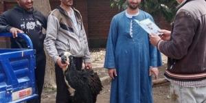 تحصين 32 ألف رأس ماشية في الأسبوع الأول للحملة القومية ضد الجلد العقدي بأسيوط