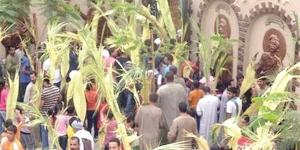 اليوم الكنيسة الأرثوذكسية تحتفل  بأحد بعيد السعف