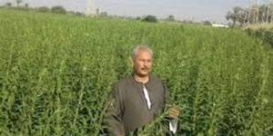 ابو صدام لـ "الوفد": الحرب "الإيرانية الأمريكية" تضرب صادرات الفراولة المصرية