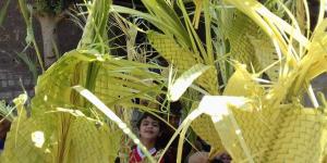 لماذا يحمل الأقباط سعف النخيل اليوم؟.. القصة الكاملة لـ أحد الشعانين