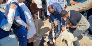 الخدمات البيطرية بالقليوبية تنفذ قافلة علاجية لدعم الثروة الحيواني