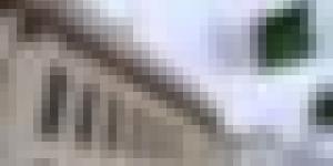 المجلس الشعبي الوطني: المصادقة على مشروع القانون المحدد للدوائر الانتخابية