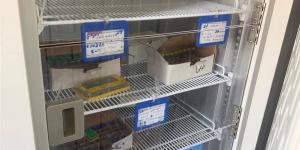 حملات تفتيشية مكثفة لإدارة الصيدلة على 93 منشأة صحية بالدقهلية