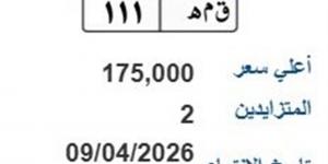 لوحة (ق م ه- 111) المميزة يصل سعرها 175 ألف جنيه ألف جنيه
