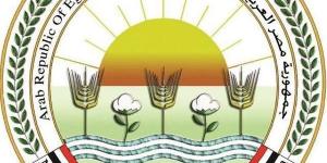 الأحد.. افتتاح جزئي لمعرض زهور الربيع بالمتحف الزراعي احتفالا بشم النسيم