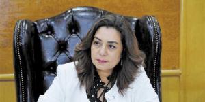 عوض: لجان مشتركة بين البرلمان والحكومة حول مشروع قانون الإدارة المحلية