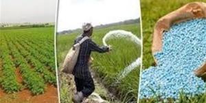 الزراعة المصرية تحت ضغط.. كيف تؤثر الزيادة في أسعار الأسمدة على الإنتاج؟