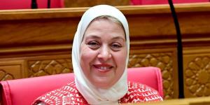 النائبة هناء العبيسي: الدور المصري في التهدئة بين واشنطن وطهران نموذج للدبلوماسية الحكيمة