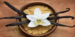 فوائد صحية مذهلة للفانيليا.. تعرف عليها