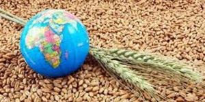 تحذيرات عالمية من تزايد انعدام الأمن الغذائي بسبب الحرب