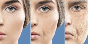 السكريات "تطبخ" أجسامنا من الداخل!. آلية خطيرة لشيخوخة الخلايا