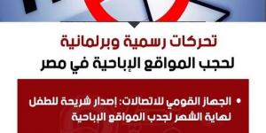 تحركات رسمية وبرلمانية لحجب المواقع الإباحية في مصر