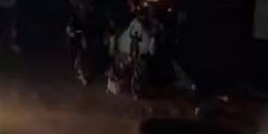 عروسان يتحديان الظلام.. زفاف تحت كوبري والفرحة مستمرة حتى بعد التاسعة مساءً