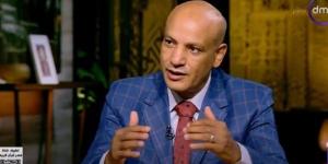 ماهر فرغلي يحذر من "الحملات الإلكترونية المنظمة" لتقويض العلاقات بين الدول العربية