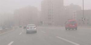 شبوره صباحيه..اعرف حالة الطقس اليوم 11 إبريل في محافظة الدقهلية