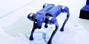 "كلب إرشاد".. الصين تطور تقنية جديدة تعمل بالذكاء الاصطناعي لمساعدة ضعاف البصر